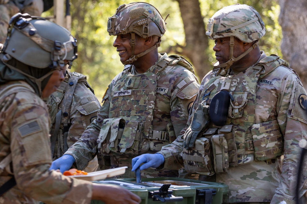 Operation Bold Eagle