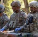 Operation Bold Eagle