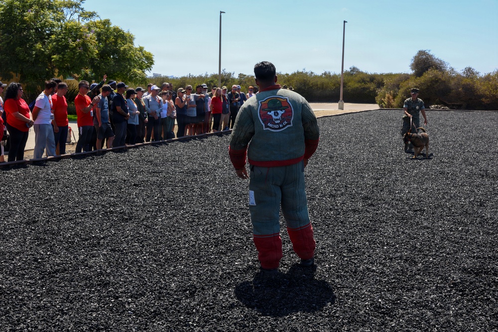 A military K-9 unit demonstration is taking place at what appears to be MCRD (Marine Corps Recruit Depot) based on the patch visible on the bite suit. A person wearing a padded protection suit with 'MCRD K-9' insignia stands in a rubber mulch training area facing a crowd of civilian spectators, while a handler with a military working dog is visible on the right side. The event appears to be a public demonstration or family day showcasing military working dog capabilities.