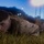 U.S. Marines Participate in a MCMAP Course