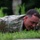 210 US-ROK Army CFT Event