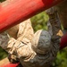 Bravo Company Crucible
