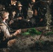 India Company Crucible