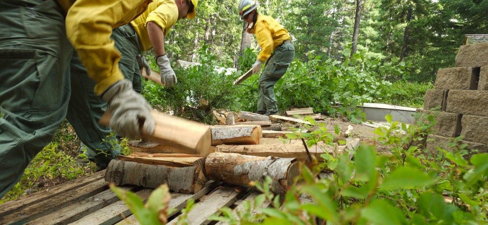 Wildland Firefighters Conduct Hazard Fuel Reduction Work at Forested Property