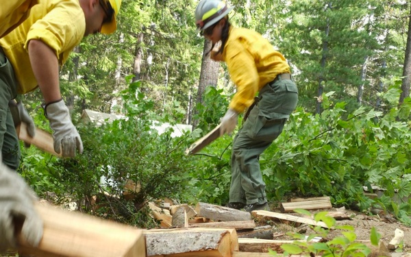 Wildland Firefighters Conduct Hazard Fuel Reduction Work at Forested Property