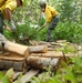 Wildland Firefighters Conduct Hazard Fuel Reduction Work at Forested Property