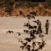 1st SFC Communicators Execute Advanced Marksmanship Range
