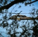 Missouri Army National Guard CH-47 Chinook conducts Helocast operations during Northern Strike 26-2