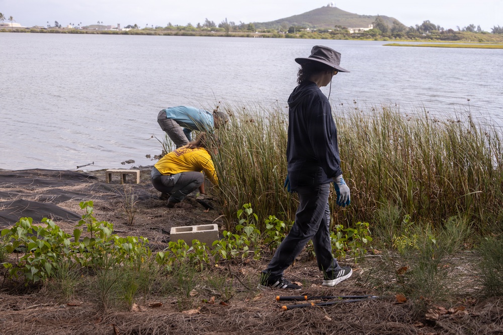 Nu’upia Fishponds Cleanup and Partnership