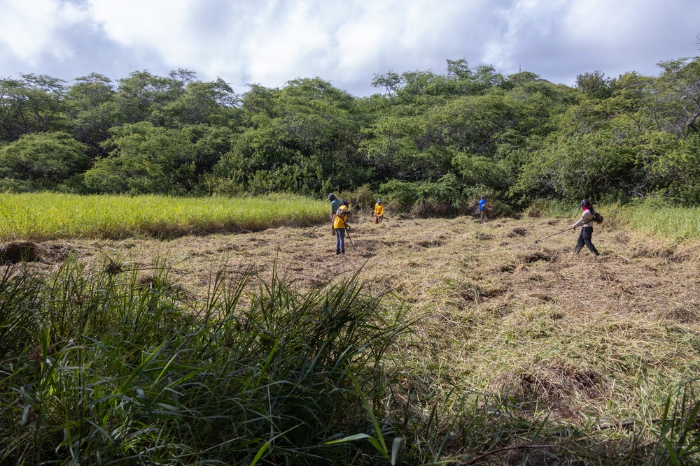 Nu’upia Fishponds Cleanup and Partnership
