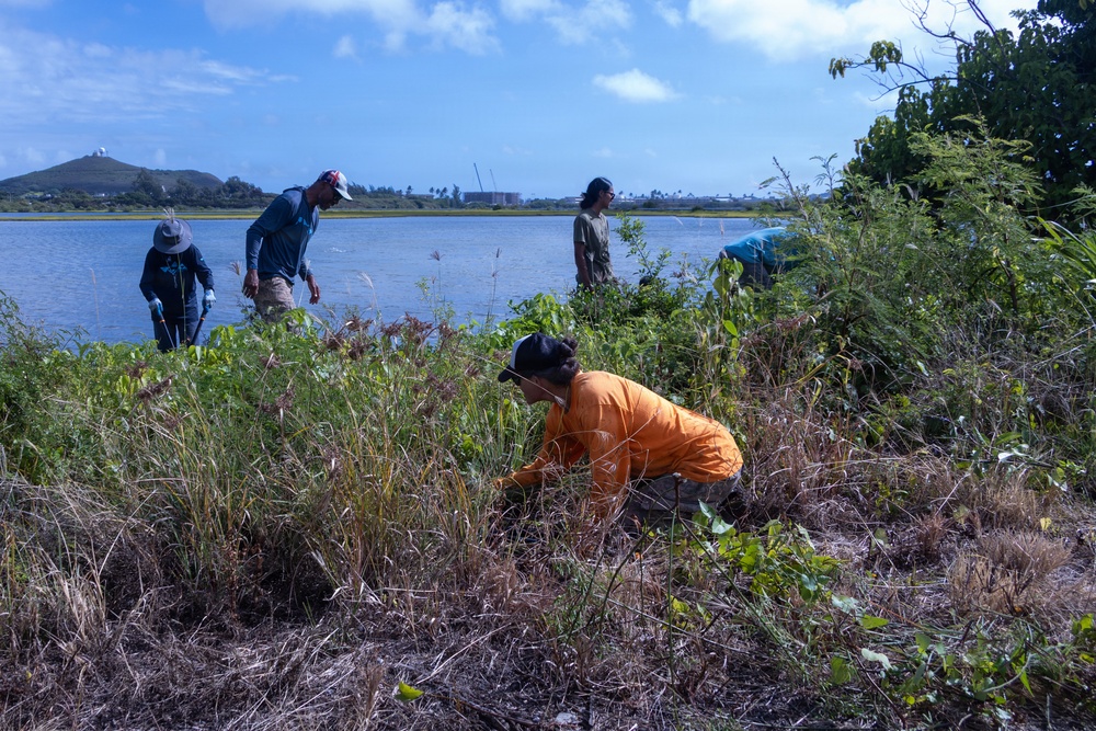 Nu’upia Fishponds Cleanup and Partnership