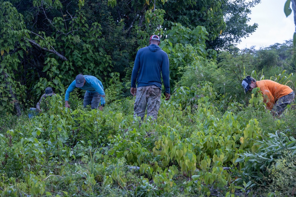 Nu’upia Fishponds Cleanup and Partnership