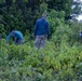 Nu’upia Fishponds Cleanup and Partnership