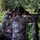 XVIII Airborne Corps Airborne Operations