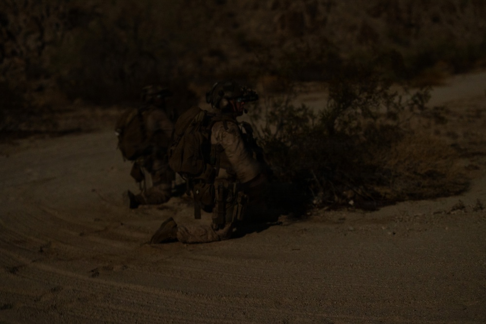 A low-light nighttime image showing what appears to be two military personnel in full combat gear crouching or kneeling on sandy terrain near sparse desert vegetation. At least one individual is visibly equipped with night vision goggles mounted on their helmet. The scene suggests a nighttime tactical operation or training exercise in an arid environment.