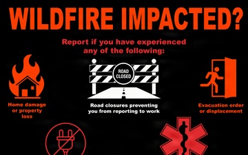 Team Fairchild wildfire infographic