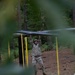 Soldiers Push Limits at 2026 USASOC Best Squad Competition