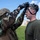 MWSS-171 and Wolf Pack sustain joint-force CBRN training