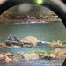 U.S. Coast Guard rescues 2 people stranded on rocks in the Coquille River