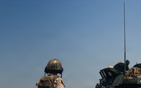 13th MEU | BLT 2/4 Conducts an Amphibious Assault