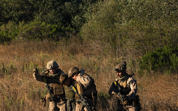 13th MEU | BLT 2/4 Conducts an Amphibious Assault