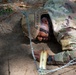 Soldiers Push Limits at 2026 USASOC Best Squad Competition