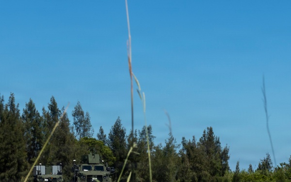U.S. Marines with 12th Marine Littoral Regiment Conduct Navy-Marine Expeditionary Ship Interdiction System Training