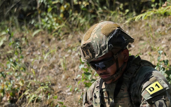 USAREUR-AF Best Squad Competition: Situational Training Exercise