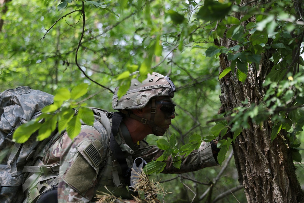 USAREUR-AF Best Squad Competition: Situational Training Exercise