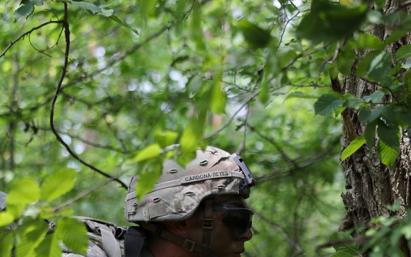 USAREUR-AF Best Squad Competition: Situational Training Exercise