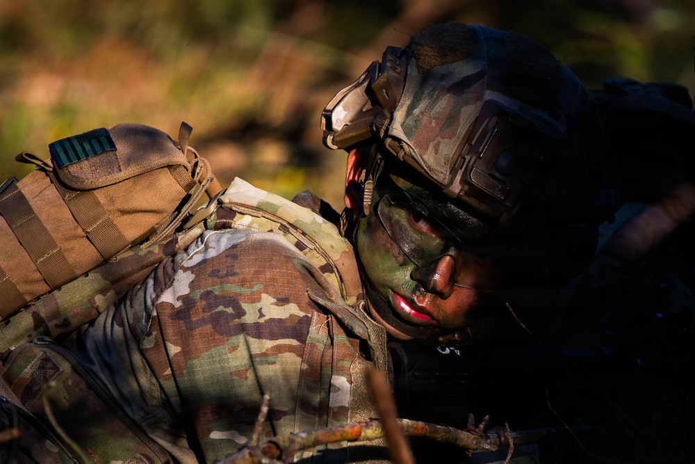 USAREUR-AF Best Squad situational training exercise day five