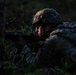 USAREUR-AF Best Squad situational training exercise day five