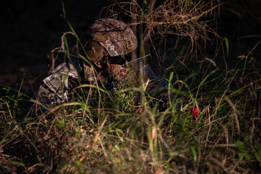USAREUR-AF Best Squad situational training exercise day five