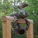 Air Assault Obstacle Course