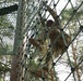 Air Assault Obstacle Course