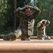 Air Assault Obstacle Course