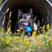 100th SFS military working dogs: lethality on all fours.