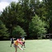 NMRTC Bethesda Fosters Camaraderie, Warfighter Readiness at Captain's Cup