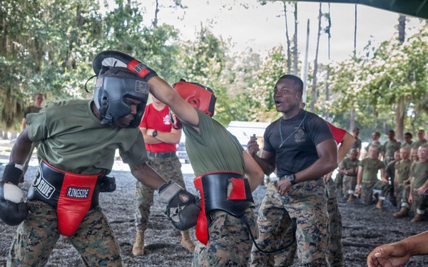 Delta Company Body Sparring