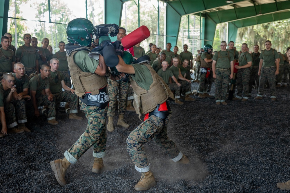 Delta Company Body Sparring