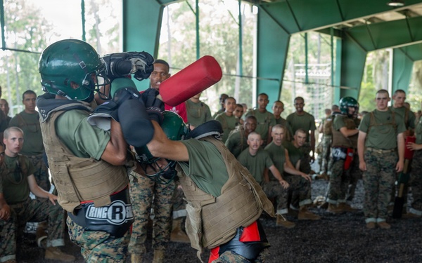 Delta Company Body Sparring