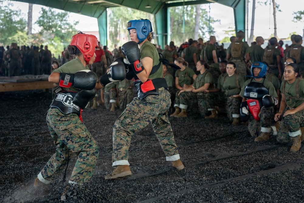 Delta Company Body Sparring