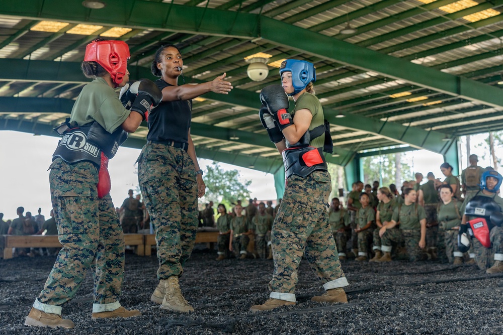 Delta Company Body Sparring