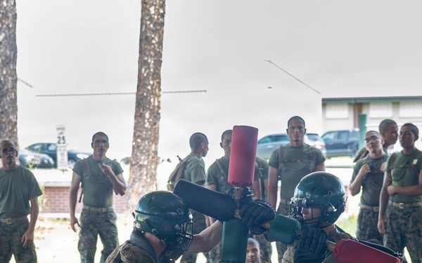 Delta Company Body Sparring