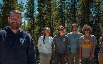 More Than Planting: How Thoughtful Management Sustains Forest Health