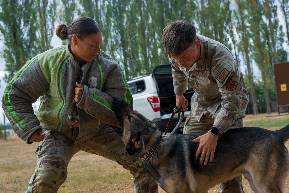 Military working dog teams sharpen readiness at RAF Fairford