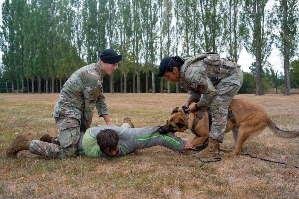 Military working dog teams sharpen readiness at RAF Fairford