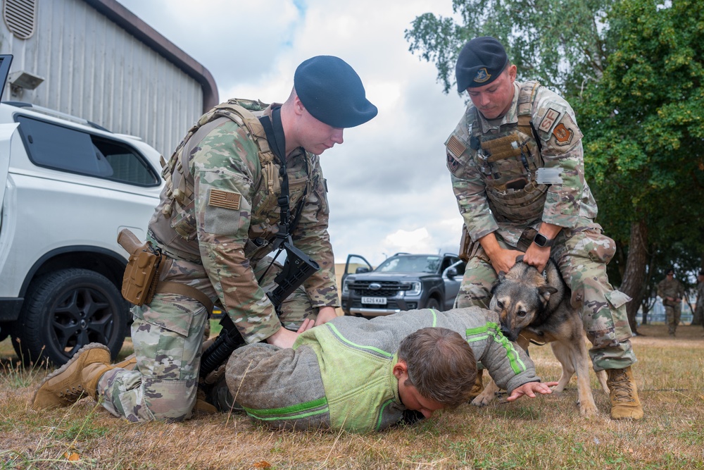 Military working dog teams sharpen readiness at RAF Fairford