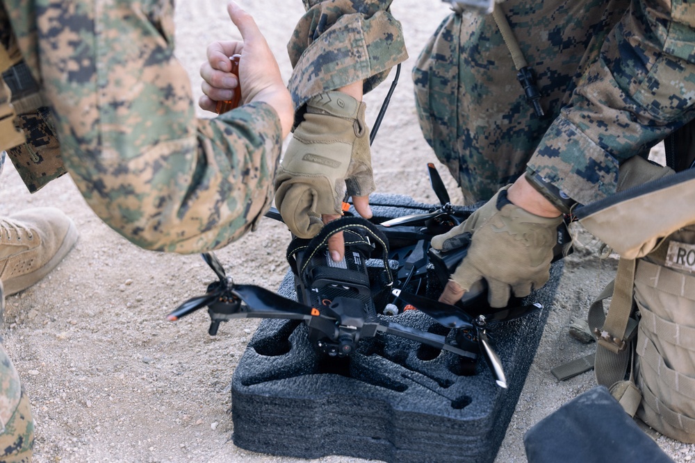 U.S. Marines with 2nd Bn., 1st Marines, rehearse platoon attacks during AFX