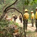 Washington National Guard Soldiers and Airmen Support Statewide Wildfire Response